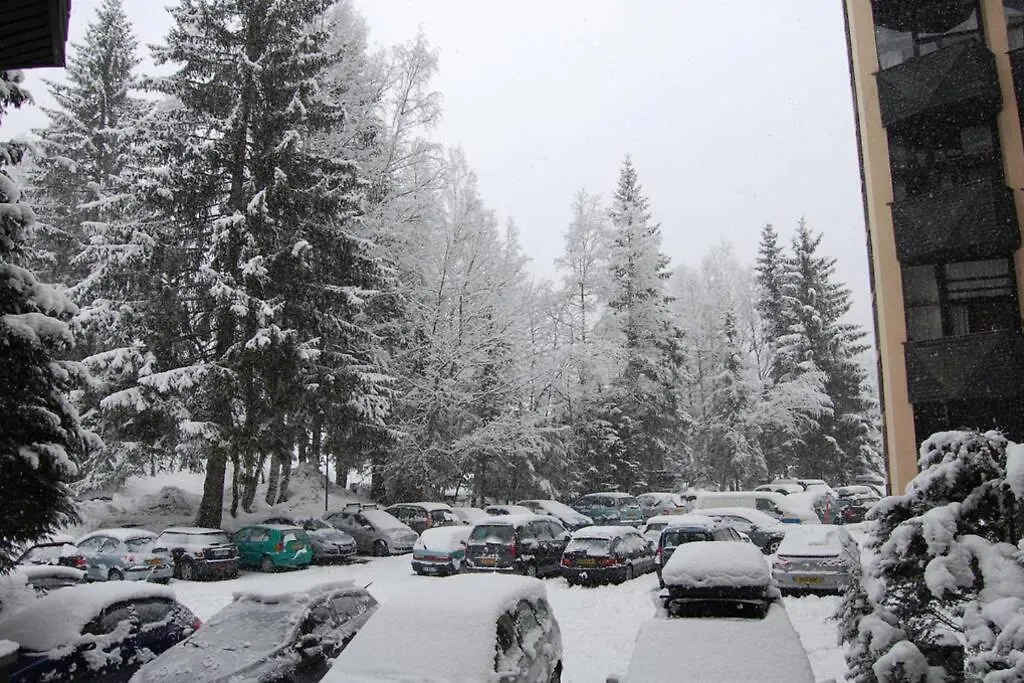 Chamonix / Argentiere - Duplex 6P Apartment